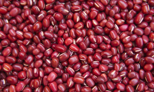 路边菊功效网 :分享路边菊有什么功效-路边菊的功能与主治知识