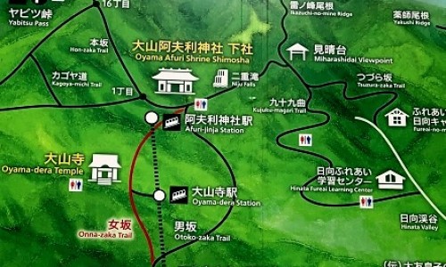 路边菊功效主治用法眼-路边菊功效网 :分享路边菊有什么功效-路边菊的功能与主治知识